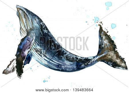 Whale. Humpback whale watercolor illustration. Underwater fauna