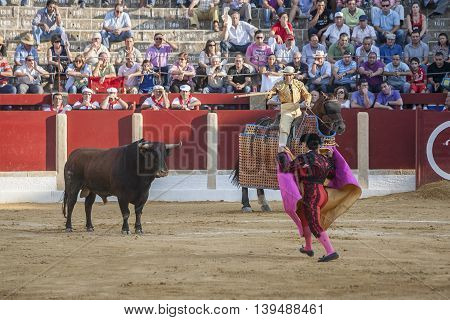 Ubeda Spain - October 1 2011: Picador bullfighter lancer whose job it is to weaken bull's neck muscles in the bullring for Ubeda Spain