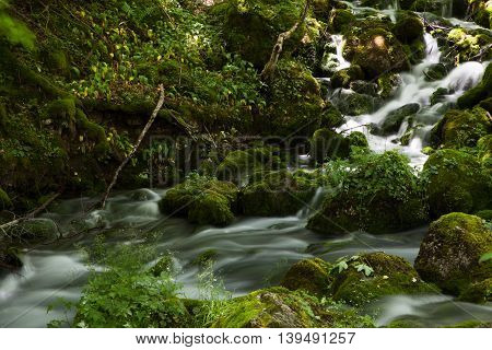 River into the woods pictured on long exposure so the water became silky. Beautiful wild small waterfall with a lot of green grass and trees around.