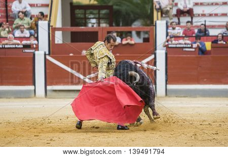 Jaen SPAIN - October 17 2008: Spanish bullfighter Cesar Jimenez in the alley waiting at the paseillo or initial parade bullfight at Jaen bullring Spain