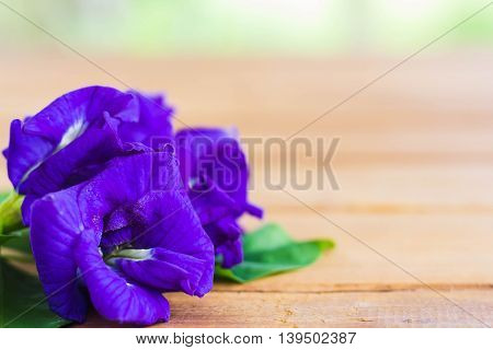 violet purple color of Butterfly pea flower border on wood cutting board texture background, colorful style