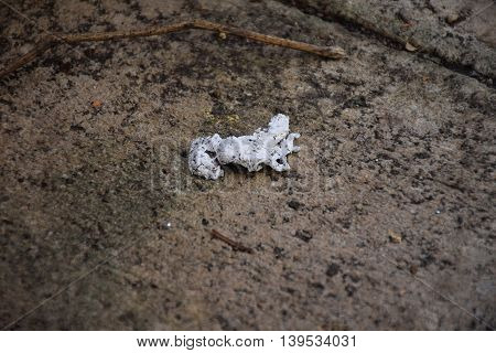 A trash on the ground. Dirty environment.
