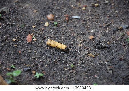 A cigarette/trash on the ground. Dirty area.