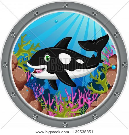 cute killer whale cartoon on the frame