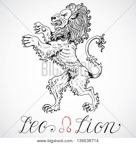 Hand drawn astrological zodiac sign Lion or Leo. Line art vector illustration of engraved horoscope symbol. Heraldic style. Doodle drawing and sketch with calligraphic lettering
