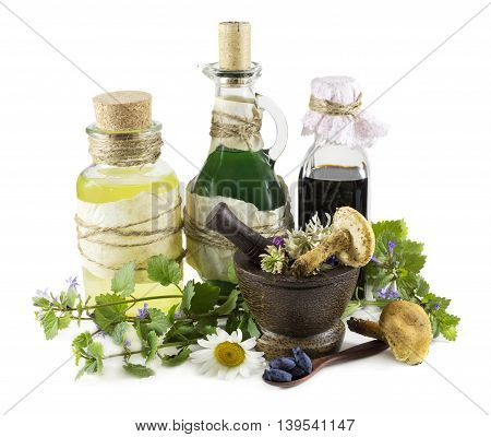 Group of glass bottle with healing herbs, mushrooms and berries, homeopathic still life isolated on white