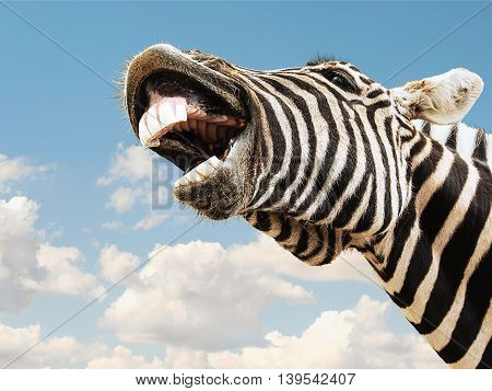Zebra striped happy laughting with teeth smile on a sky background