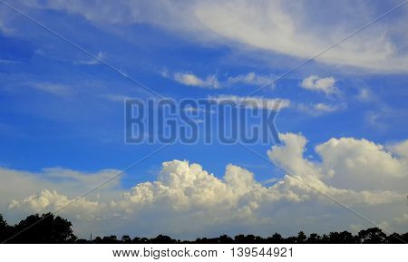 pile of fluffy, white, cumulus clouds over the tip tops of trees, cirrus clouds higher up in a bright blue sky, Ranot, Thailand