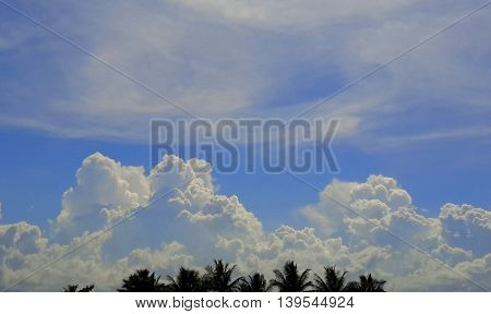 pile of sunlit fluffy, white, cumulus clouds over the tip tops of coconut trees, cirrus clouds higher up in a blue sky, Ranot, Thailand