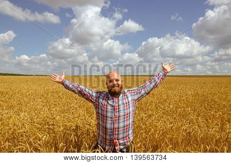 Happy hairless farmer with beard in ripe wheat field with handsup to a blue sky. great harvest