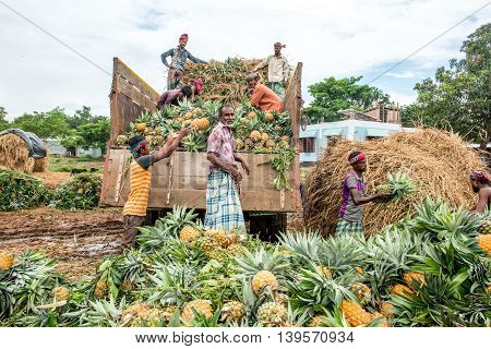 Pineapple Seller