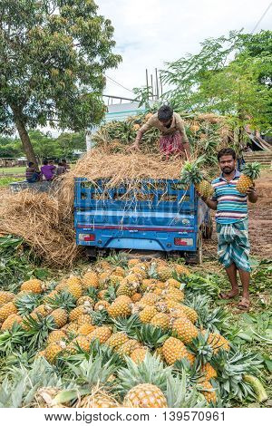 Pineapple Seller