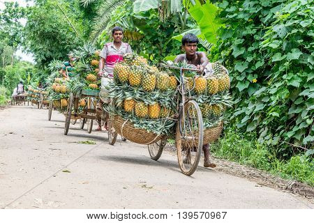 Pineapple Seller