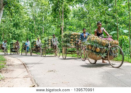 Pineapple Seller