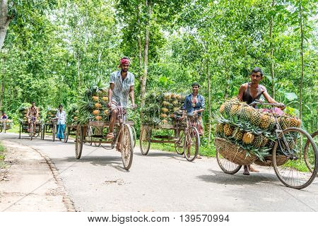 Pineapple Seller