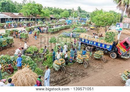 Pineapple Seller