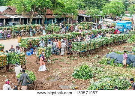 Pineapple Seller