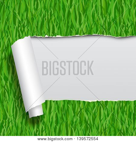 Ripped paper with green grass seamless pattern background. Vector Illustration