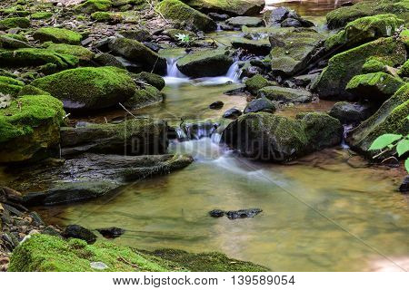 Small Mountain Stream in the Eastern United States.