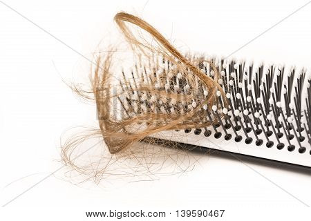 Close-up of hair loss, long hair, alopecia on white background with brush, comb nobody