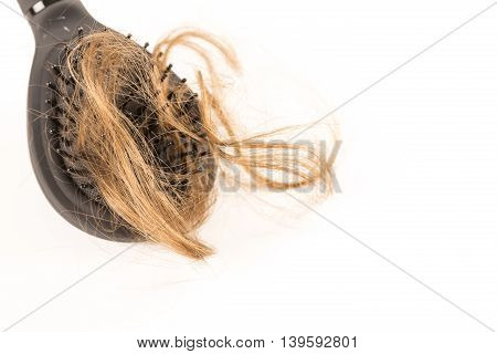 Close-up of hair loss, long hair, alopecia on white background with brush, comb nobody