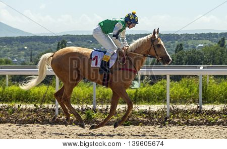 Horse race for the traditional prize Absenta in Pyatigorsk,the largest in Russia.