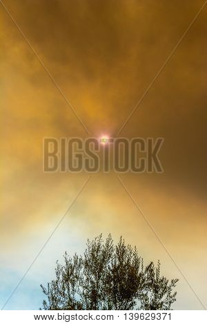 Sun Peeking Through Smoke Clouds Over Tree From Wildfire
