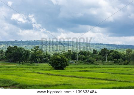 Mountain View, Phu Phan, Sakon Nakhon, Thailand