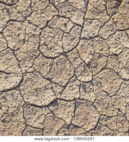 Loam In A Saline Basin