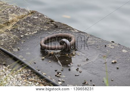 an old docking on lake for boat