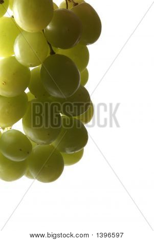 UVA isoliert auf weiss