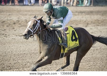 SARATOGA SPRINGS, NY - July 22: Sweet Loretta in the Stretch winning the 98th runniing of the Schulerville Stakes for 2 year old Fillys on July 22, 2016 in Saratoga Springs, NY.