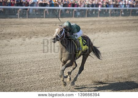 SARATOGA SPRINGS, NY - July 22: Sweet Loretta in the Stretch winning the 98th runniing of the Schulerville Stakes for 2 year old Fillys on July 22, 2016 in Saratoga Springs, NY.