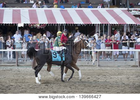 SARATOGA SPRINGS, NY - July 22: Harlands Thunder in the Post Parade for the 98th runniing of the Schulerville Stakes for 2 year old Fillys on July 22, 2016 in Saratoga Springs, NY.