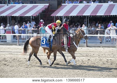 SARATOGA SPRINGS, NY - July 22: Lightening Dove in the Post Parade for the 98th runniing of the Schulerville Stakes for 2 year old Fillys on July 22 in Saratoga Springs, NY.