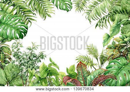 Hand drawn branches and leaves of tropical plants. Natural green background with space for text. Watercolor floral frame.