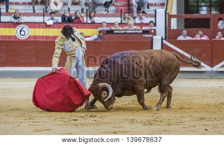 Jaen SPAIN - October 17 2008: The Spanish Bullfighter Curro Diaz bullfighting with the crutch in the Bullring of Jaen Spain