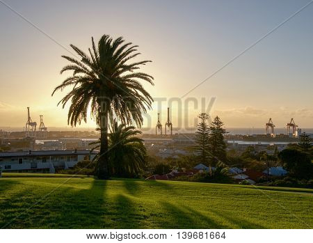 View overlooking the Fremantle Port with large cranes and sunset sky with silhouette of tropical palm tree from Monument Hill in Fremantle, Western Australia.