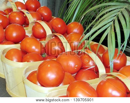 The red tomatoes on market of Whittamore's Farm in Markham Ontario 23 July 2016 Canada