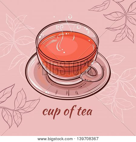 vector illustration with cup of tea on color background