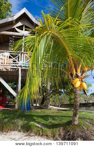 Photo Untouched Tropical Beach in Bali Island. Bungalow in Indonesia village. Vertical Picture
