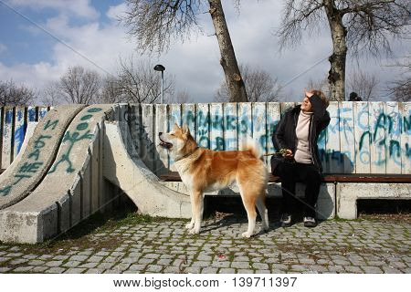 Lady with Akita Inu watch overflight sitting in front of graffiti