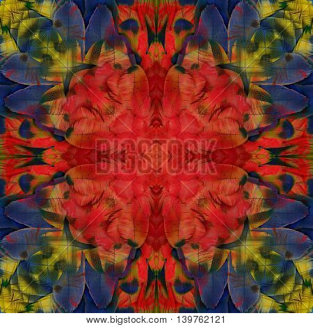 The Red And Blue With Mix Of Yellow Background Made Of Scarlet Macaw Parrot Bird Feathers, Exotic Te