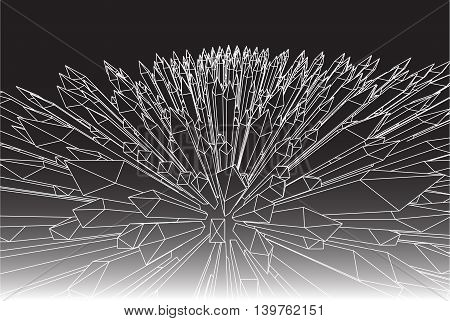 Web