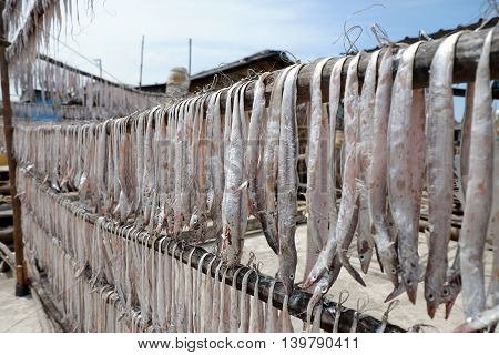 Dried Fish Ca Mau Fishing Village