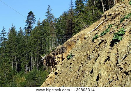Landslide in the Carpathian mountains to Synevyrskiy pass near forest.