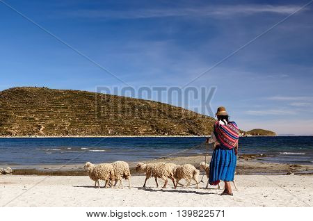 South America Bolivia - Isla del Sol on the Titicaca lake the largest highaltitude lake in the world. Ethnic woman is going through the lakeside for sheep pasturage