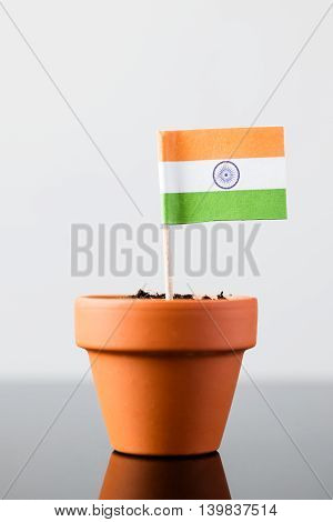 Flag Of India In A Plant Pot