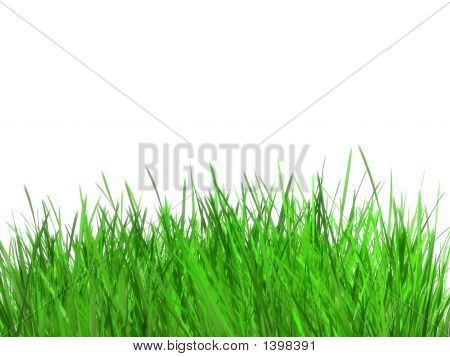 Grass6K