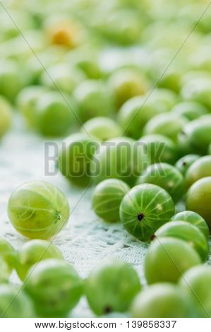Close View Of Ripe Fresh Gooseberry Berry Small Fruit, Ribes Uva-Crispa Or Ribes Grossularia On The White Tablecloth.